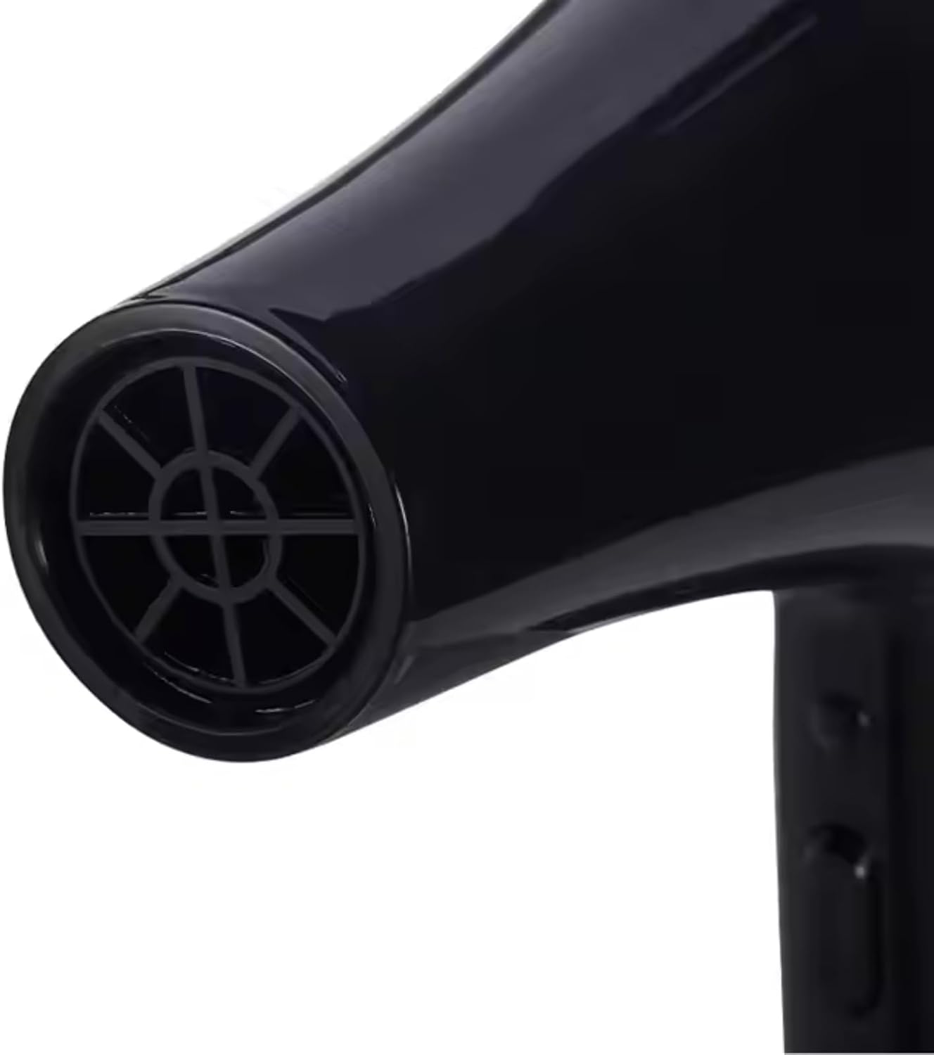 Professional Hair Dryer