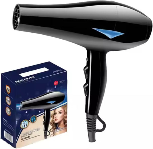 Professional Hair Dryer