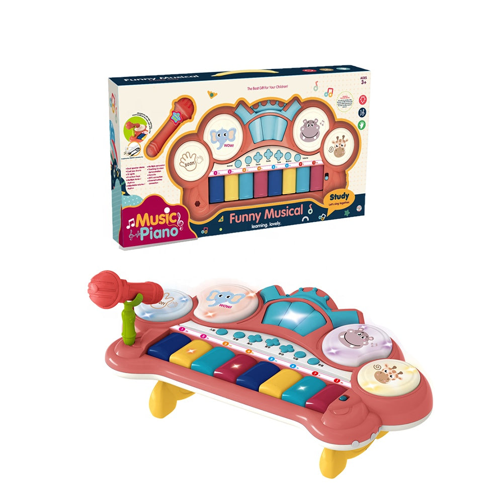 Electronic Musical Toy
