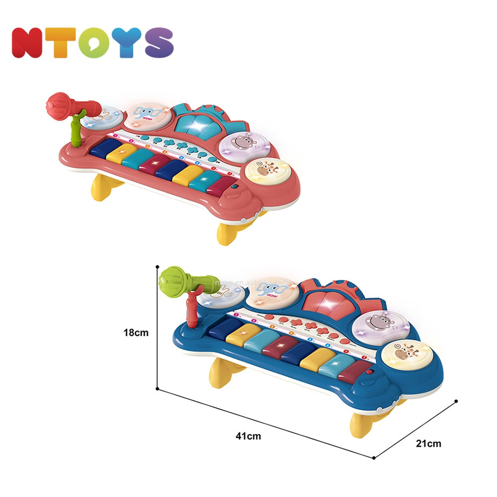 Electronic Musical Toy