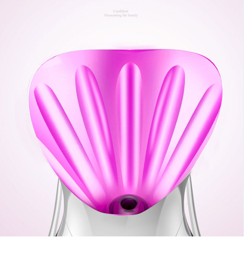 Facial Steamer