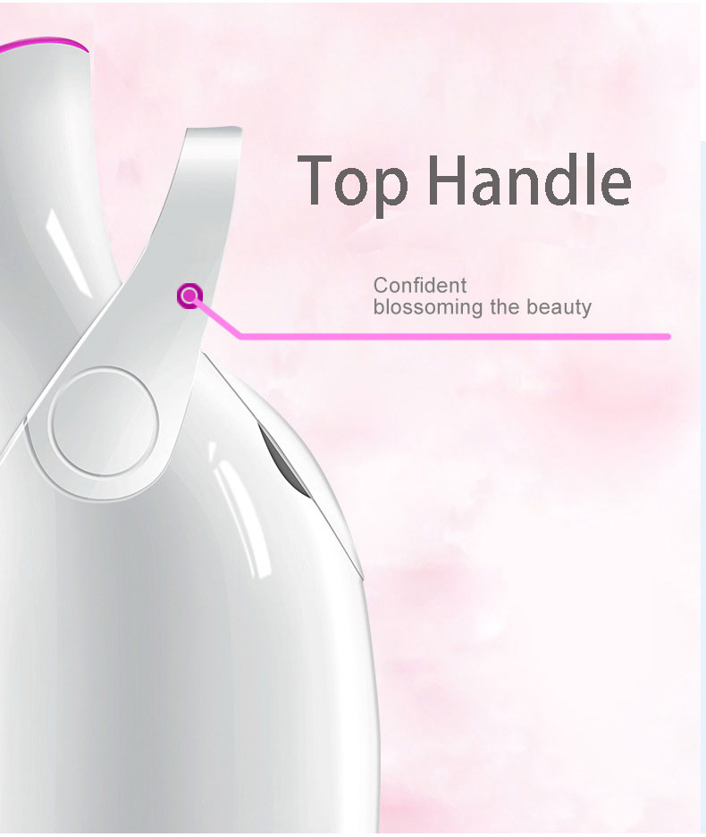 Facial Steamer