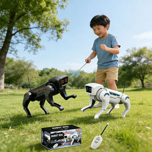 Robotic Dog