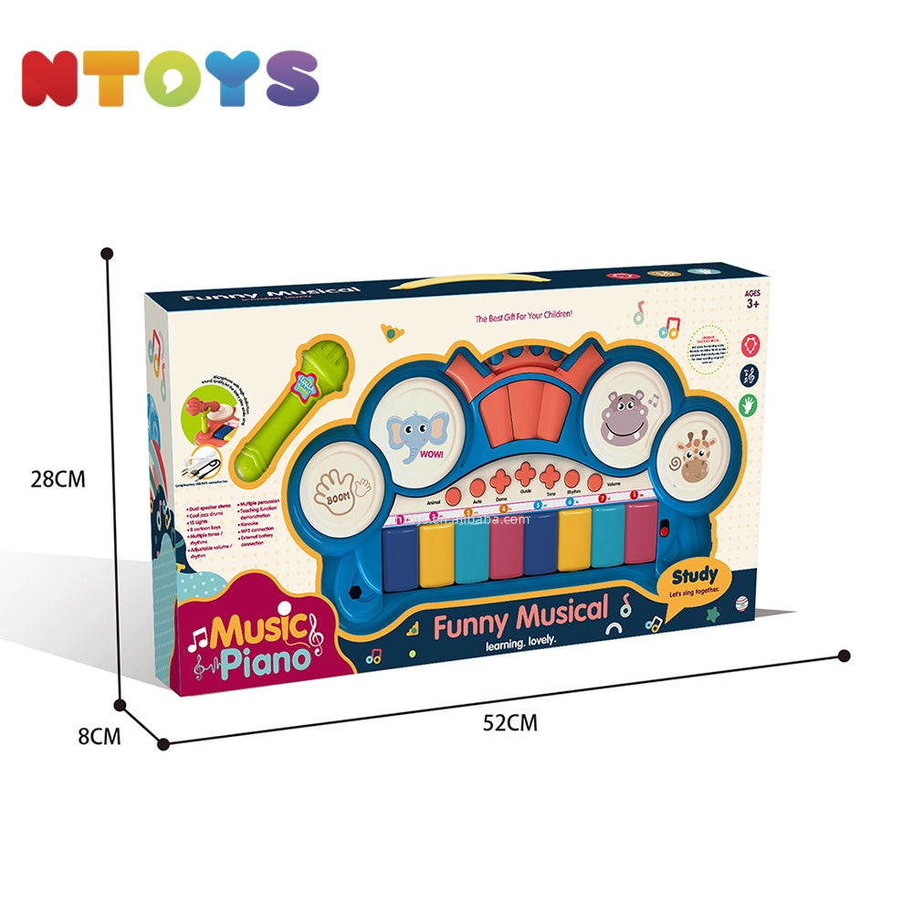 Electronic Musical Toy