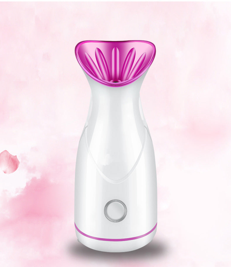 Facial Steamer