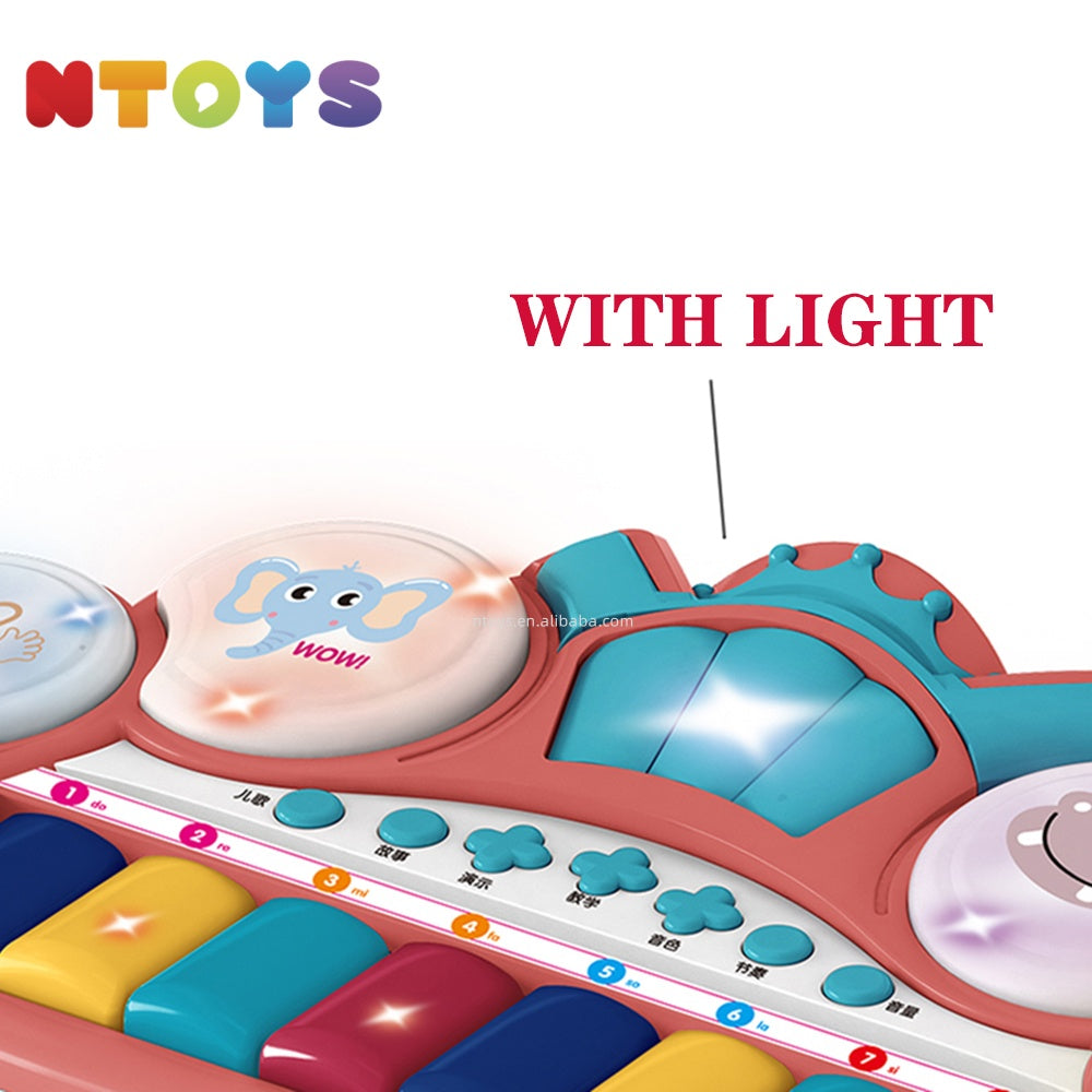 Electronic Musical Toy
