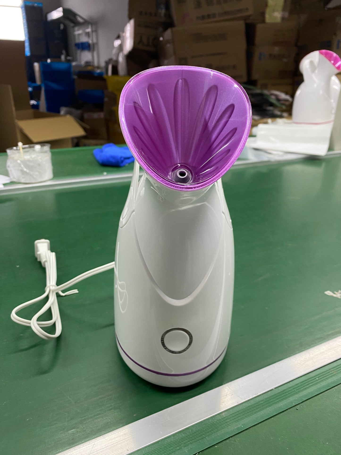 Facial Steamer